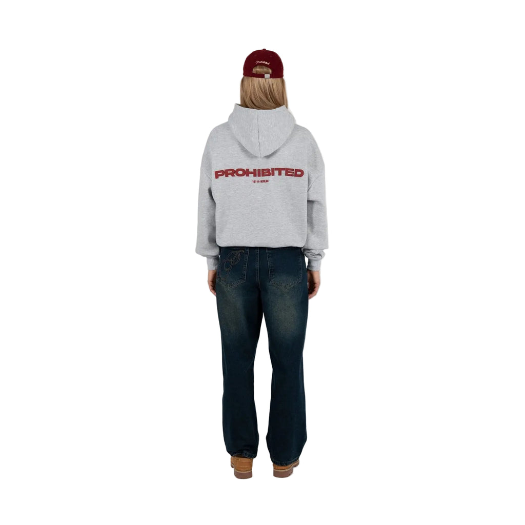 Hoodie Prohibited 10119 Cinzento