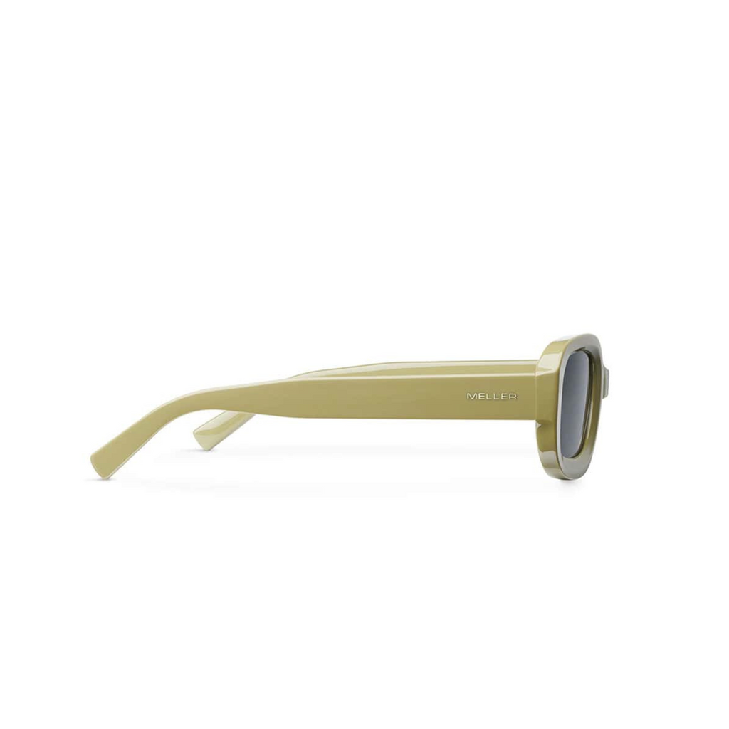 Dashi Pickle Carbon Meller Sunglasses