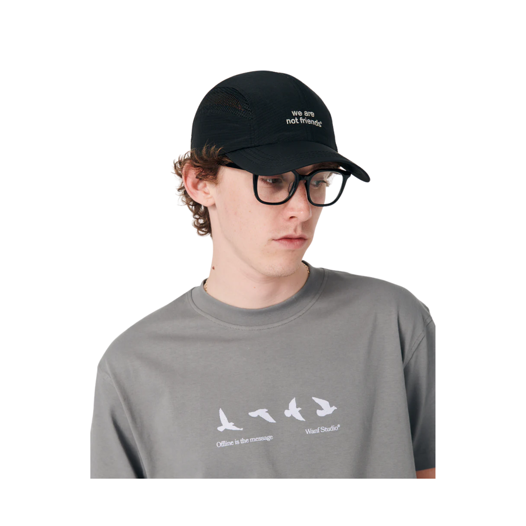 T-Shirt We Are Not Friends Fly Away Grey