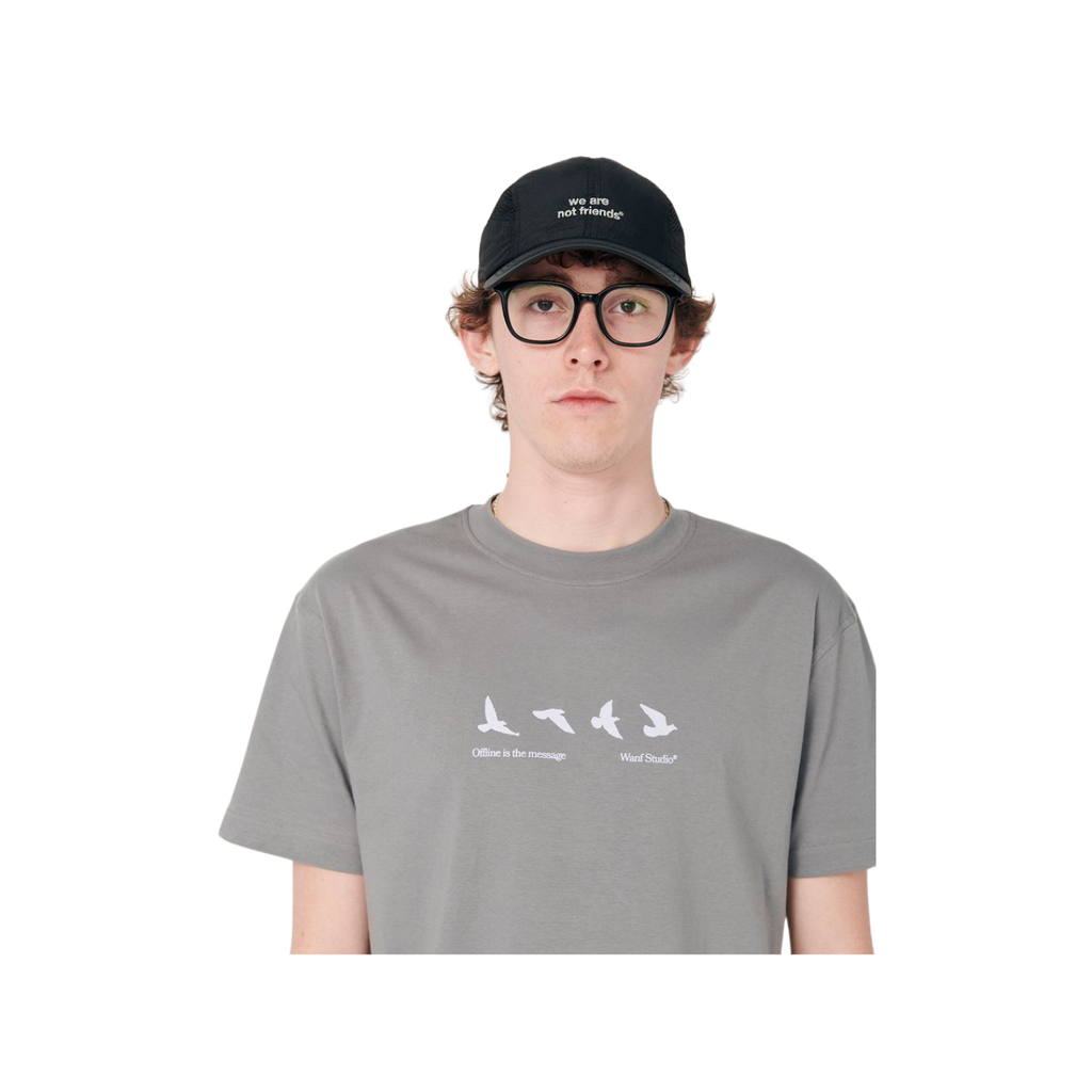 T-Shirt We Are Not Friends Fly Away Grey