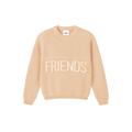 We Are Not Friends Salmon Friends Knit Sweatshirt
