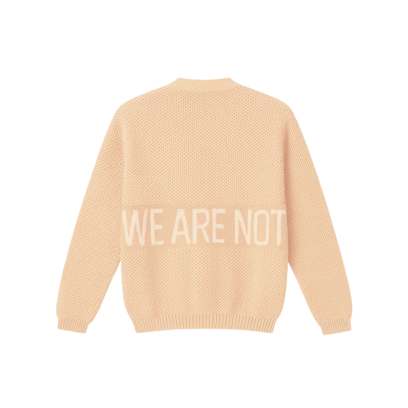 We Are Not Friends Salmon Friends Knit Sweatshirt